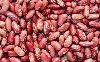 娱乐吃瓜酱云南的花